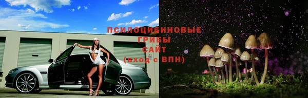 меф Алексин
