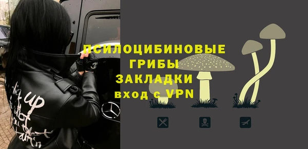 дмт Армянск