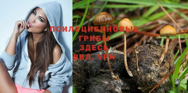 меф Алексин