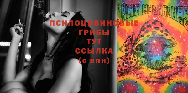 дмт Армянск