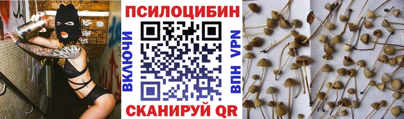 omg ссылки  Батайск  Галлюциногенные грибы Magic Shrooms  наркотики 